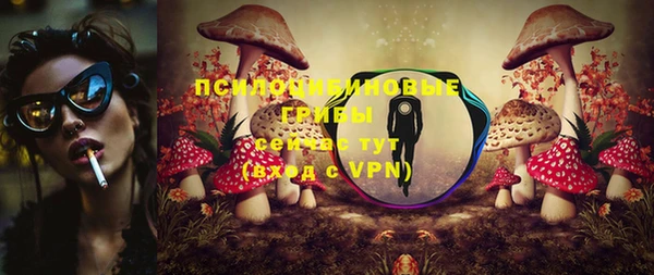 МДМА Карпинск